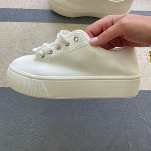 band new platform canvas sneaker